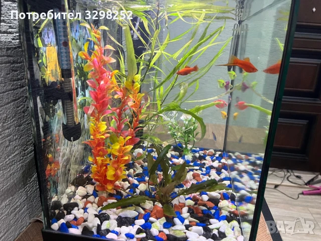 Аквариум, снимка 3 - Оборудване за аквариуми - 50885634