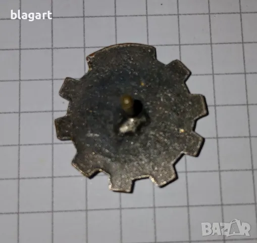 Стари Военни нагръдни знаци, снимка 4 - Антикварни и старинни предмети - 50355325