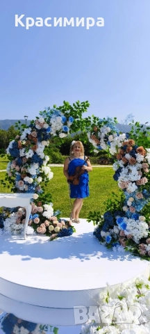 Певица, свиреща на цигулка, мандолина, пиано, ксилофон за вашето коледно парти , снимка 4 - Други - 52268565