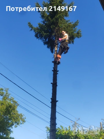 Рязане почистване извозване 