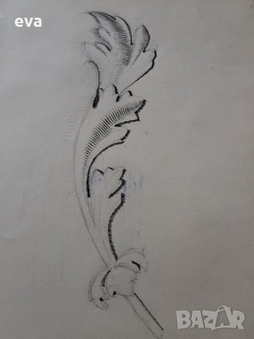 Майсторска рисунка Тома Петров(1908-1972) Проект на акантов лист 1946година, снимка 4 - Картини - 36004391