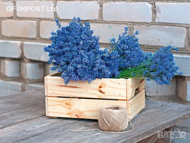 Електрически Такер PARKSIDE PHET 15 C2, снимка 7 - Други инструменти - 48582120