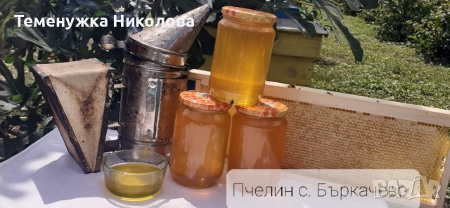 Пчеле мед от регистринан пчелин, снимка 2 - Пчелни продукти - 41851402