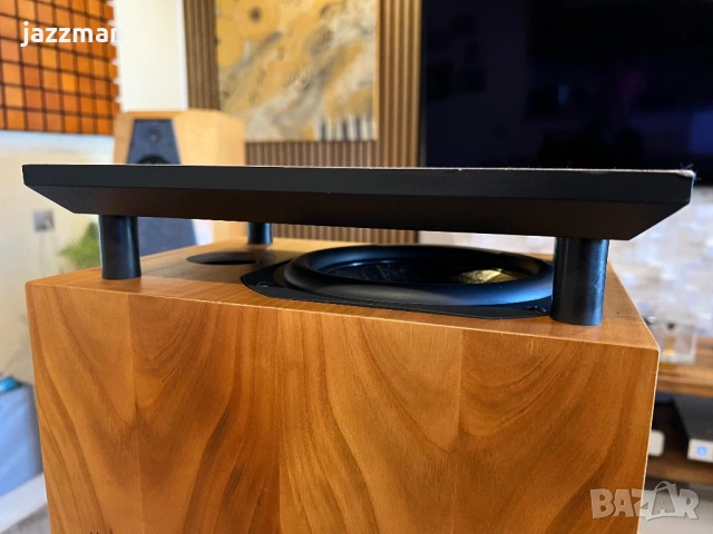 Chario Syntar 200 Tower – Италиански Hi-Fi подови тонколони, снимка 12 - Тонколони - 53797555