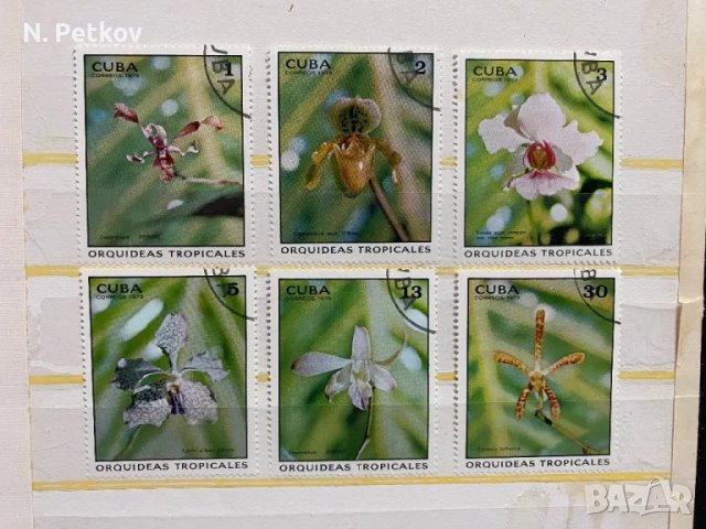 Куба, Орхидеи