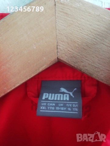 FC Ingolstadt Schanzer Audi Puma оригинално ново яке горнище Инголщат Пума ветровка , снимка 7 - Спортни дрехи, екипи - 53156479