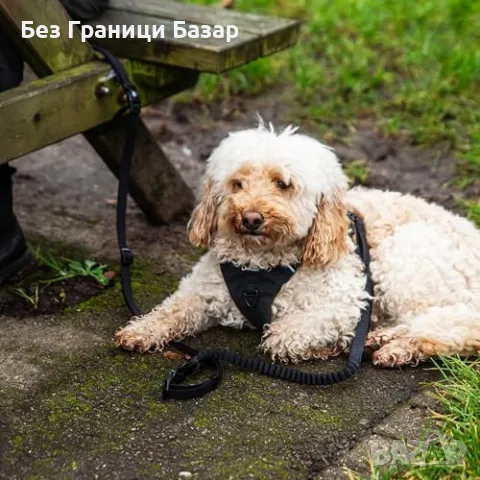Нова каишка Универсален повод за кучета – регулируем, с колан за кола, снимка 4 - За кучета - 49901326