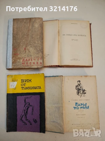 Битка по пътя - Галина Николаева, снимка 2 - Художествена литература - 50986050