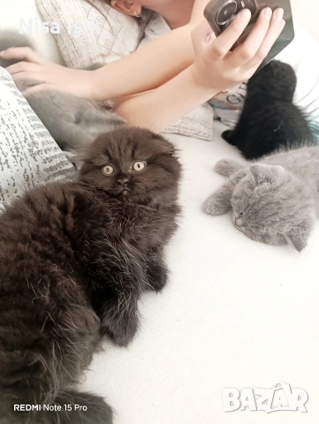 не е красива просто е уникална 