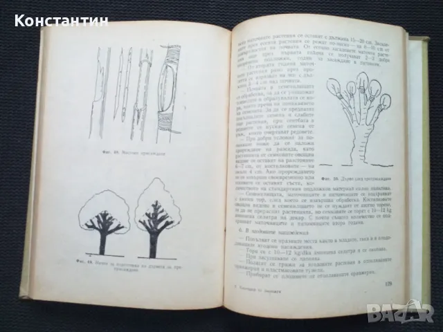 Календар на овощаря, снимка 4 - Специализирана литература - 50051065