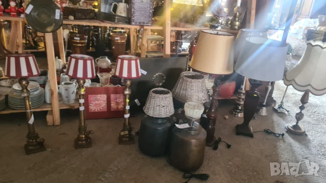 Лампиони различни видове