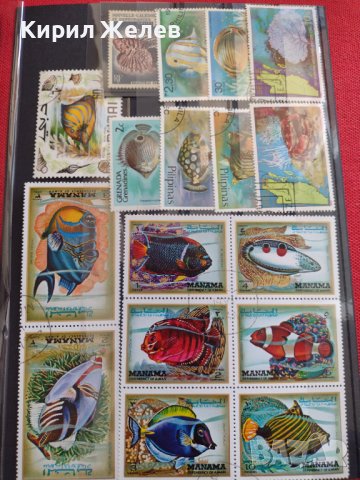 Пощенски марки смесени серия ЕКЗОТИЧНИ РИБИ много красиви за КОЛЕКЦИЯ 37888 , снимка 13 - Филателия - 40455166