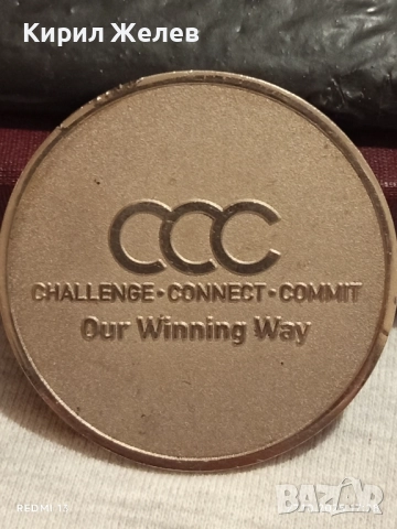 Плакет посветен на сливането на фармацевтичните компании Actavis Forest laboratory 31211, снимка 5 - Антикварни и старинни предмети - 52201174