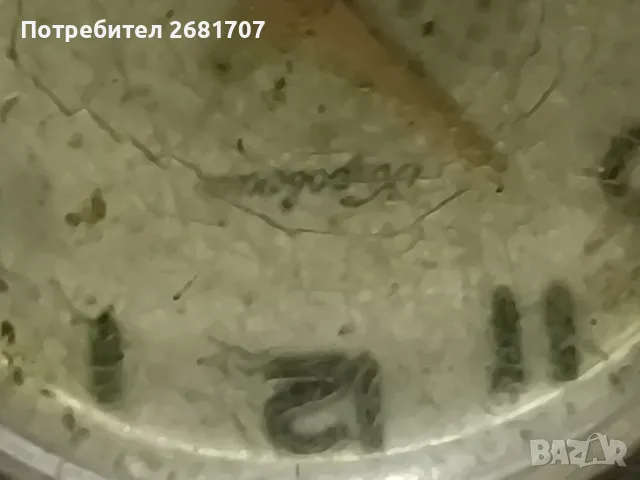 часовник , снимка 2 - Антикварни и старинни предмети - 49521149