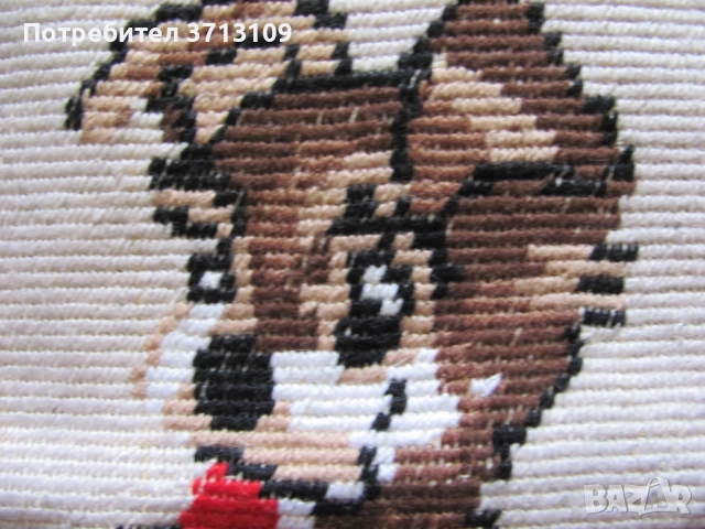 2 броя гоблени -ръчно бродитани, снимка 7 - Гоблени - 51512168