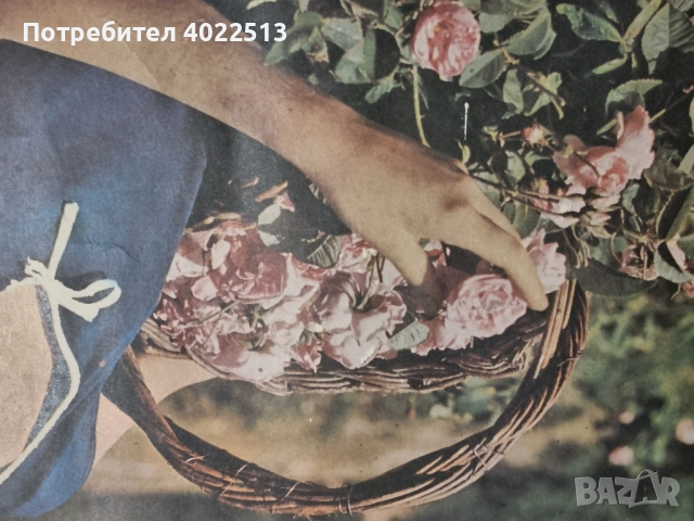 Продава, снимка 5 - Антикварни и старинни предмети - 51940059