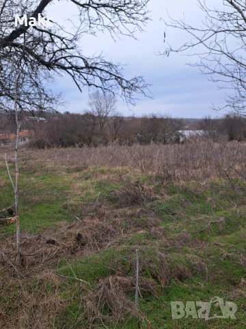 Продавам дворно място в село Николаевка, снимка 3 - Парцели - 50528946