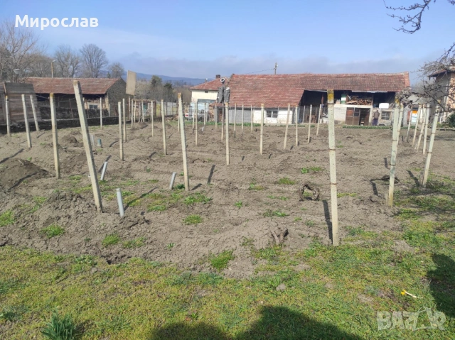 Къща в с. Водолей област В. Търново, снимка 5 - Къщи - 53848523