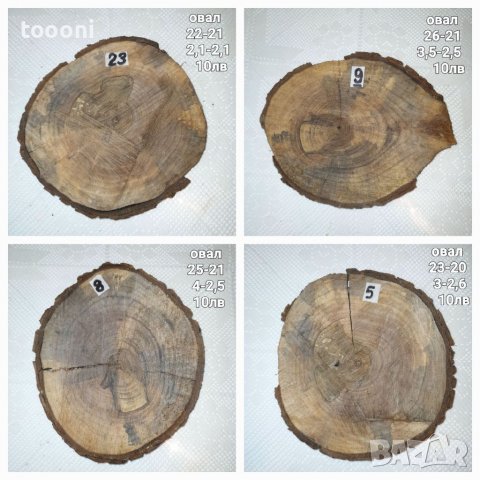Шайби орехови, снимка 8 - Декорация за дома - 34498708
