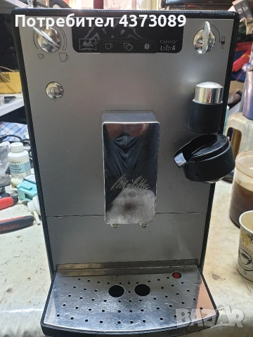 melita caffeo lattea