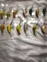 Комплект 13 бр. кранкбейти – 11x Salmo, 2x Ugly Duckling, снимка 3