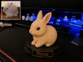 Персонализирана Фигурка на домашен любимец, снимка 6