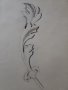 Майсторска рисунка Тома Петров(1908-1972) Проект на акантов лист 1946година, снимка 4