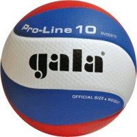 Волейболна топка Gala PRO LINE BV 5581 S нова 
