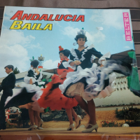 Andalucia Baila, снимка 1 - Грамофонни плочи - 36354466