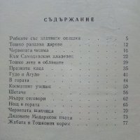 Тошко Африкански - Ангел Каралийчев - 1978г. , снимка 5 - Детски книжки - 41167553