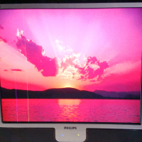 Монитор Philips 170 X, снимка 4 - Монитори - 36369250