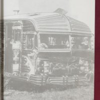 Илюстрирана история на циганите / Gypsies - An Illustrated History, снимка 4 - Специализирана литература - 39449107