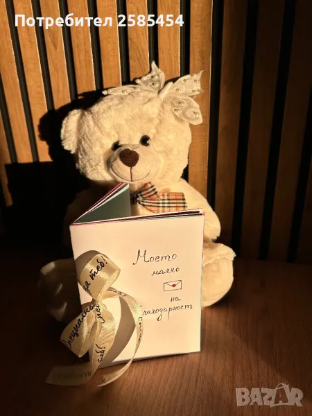 Мече-пощальон с писмо на благодарност🫶🏻, снимка 1