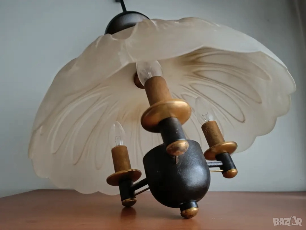 Полилей, ретро, здрав, снимка 1