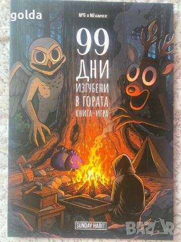 99 дни изгубени в гората (книга-игра)