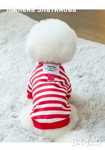 Блузка за малко куче S размер, снимка 2 - За кучета - 44398739