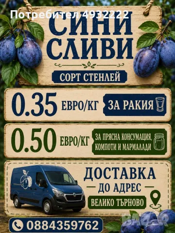Сини сливи стенлей