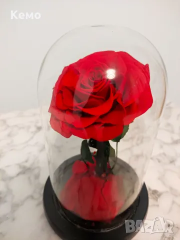  Вечна роза в стъкленица - неувяхваща балсамирана, снимка 2 - Подаръци за жени - 48778797