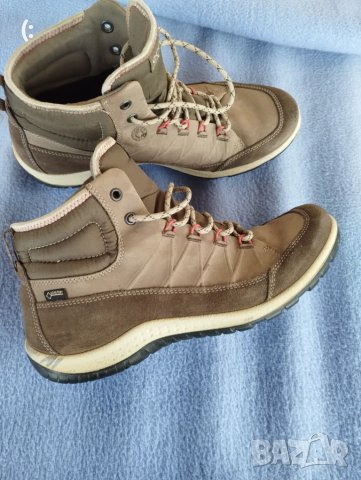 Ecco coretex номер 39.