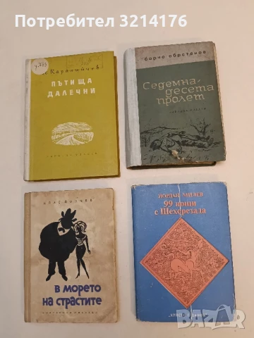 Седемнадесета пролет - Борчо Обретенов