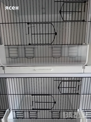 Продавам клетки , снимка 3 - Амадини - 53659363