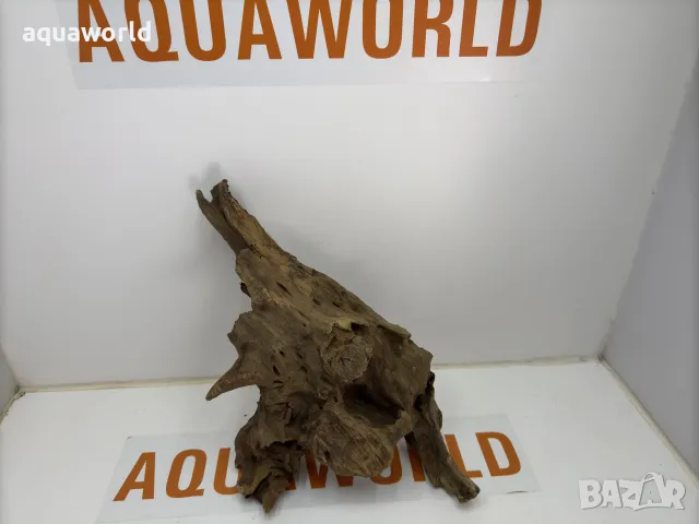 Африканско дърво 4, снимка 2 - Оборудване за аквариуми - 49398019