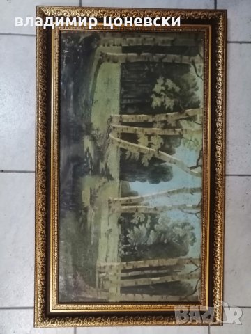 Стара руска маслена картина Брезова гора от 1950 г, масло на платно, живопис, снимка 6 - Картини - 35851522