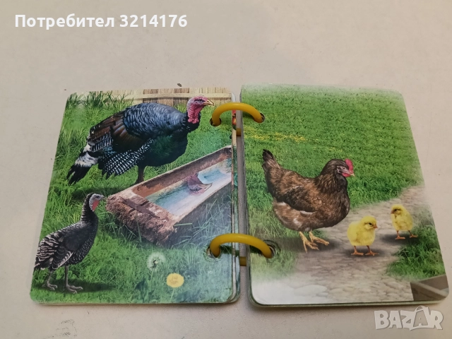 Бебетата на животните (2020, Изд.Ина, книжка с дръжка), снимка 3 - Детски книжки - 52576329