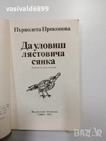 Първолета Прокопова - Да уловиш лястовича сянка , снимка 4 - Детски книжки - 48415519