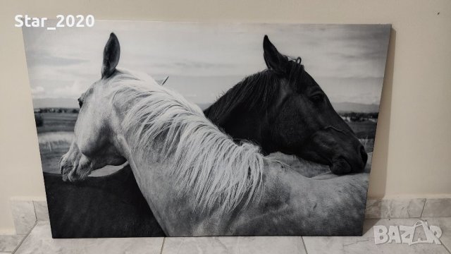 Светеща картина с LED осветление - бял и черен кон 