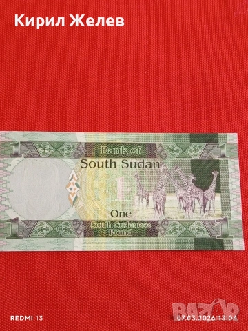Банкнота ЮЖЕН СУДАН много красива перфектно състояние непрегъвана за КОЛЕКЦИЯ 53930, снимка 7 - Нумизматика и бонистика - 53744772