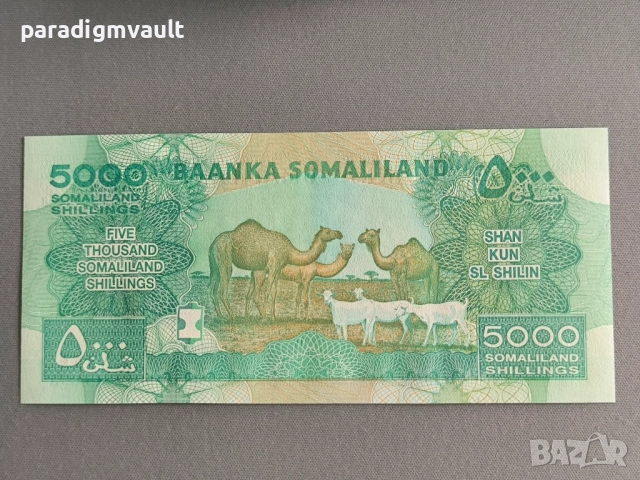 Банкнота - Сомалиленд - 5000 шилинга UNC | 2016г., снимка 2 - Нумизматика и бонистика - 51710324