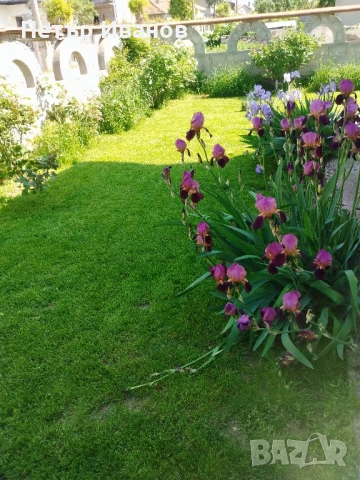 Косене на дворове, снимка 3 - Други услуги - 50847139