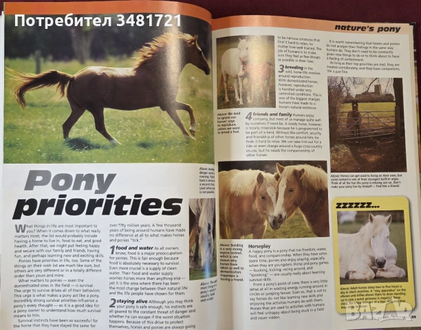 Илюстриран справочник - коне и понита / The Complete Guides to Horses and Ponies, снимка 6 - Енциклопедии, справочници - 53748600